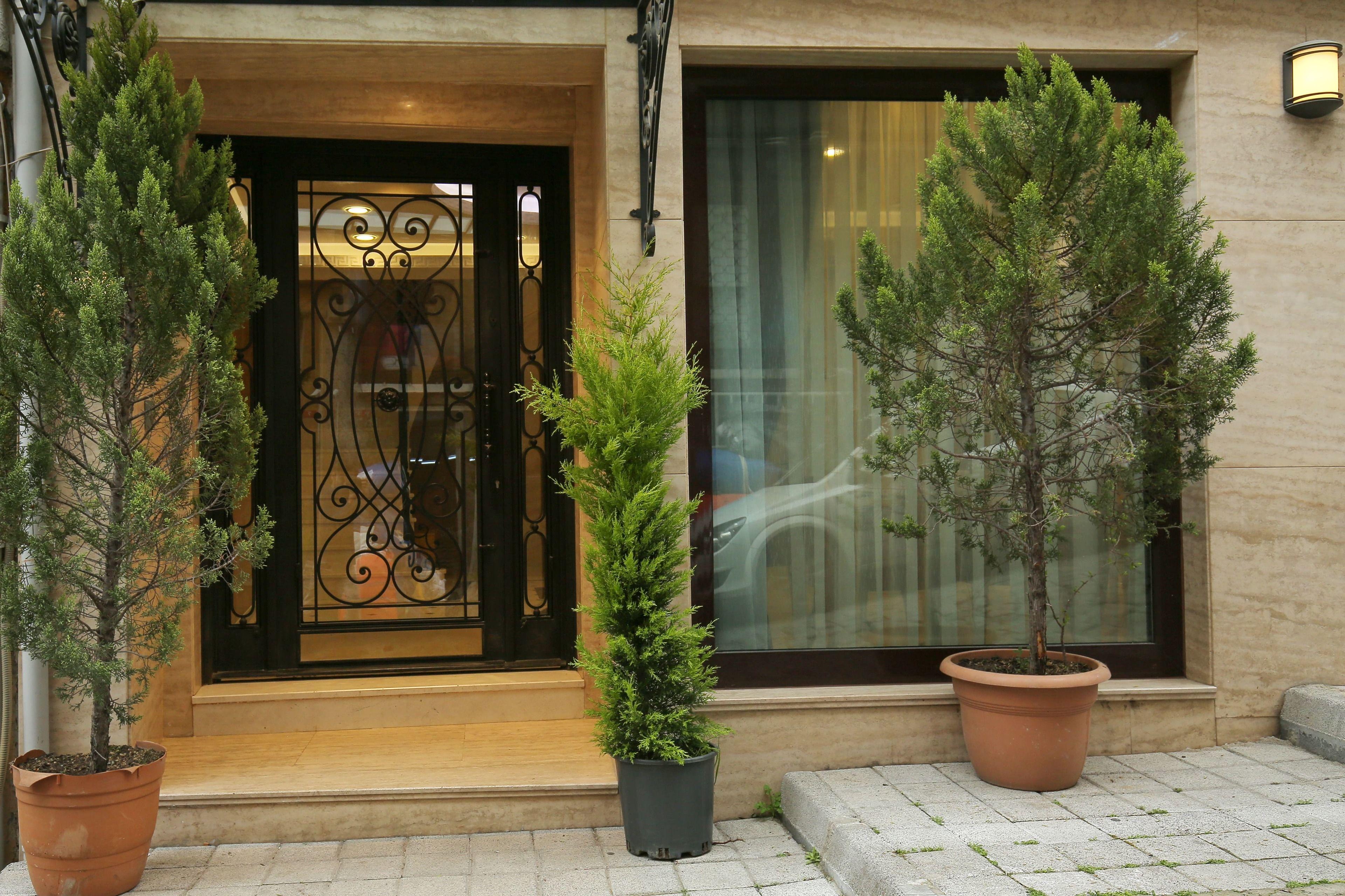 Artika Hotel — Fotoğraflar 3